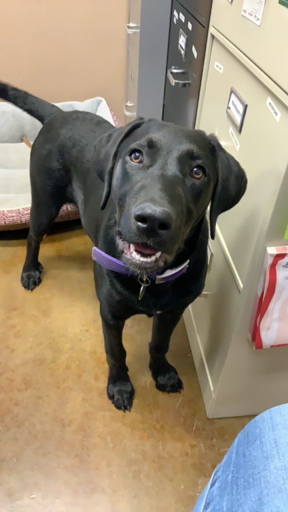 Travel Time RV Dealership Staff Sales, Parts, Service, Rentals